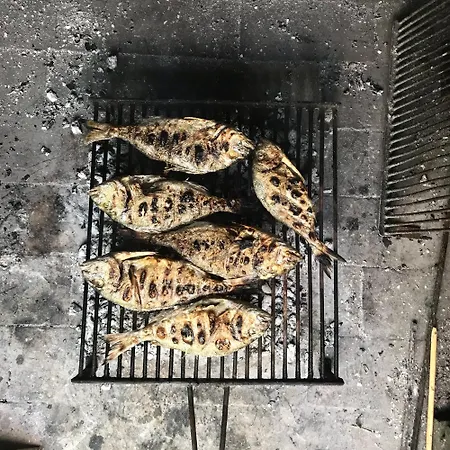 Barkadela *